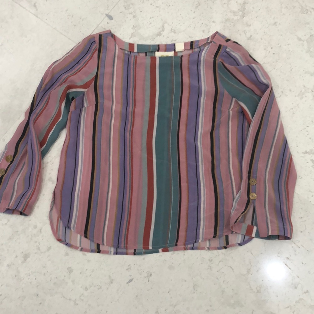 Anthropology top